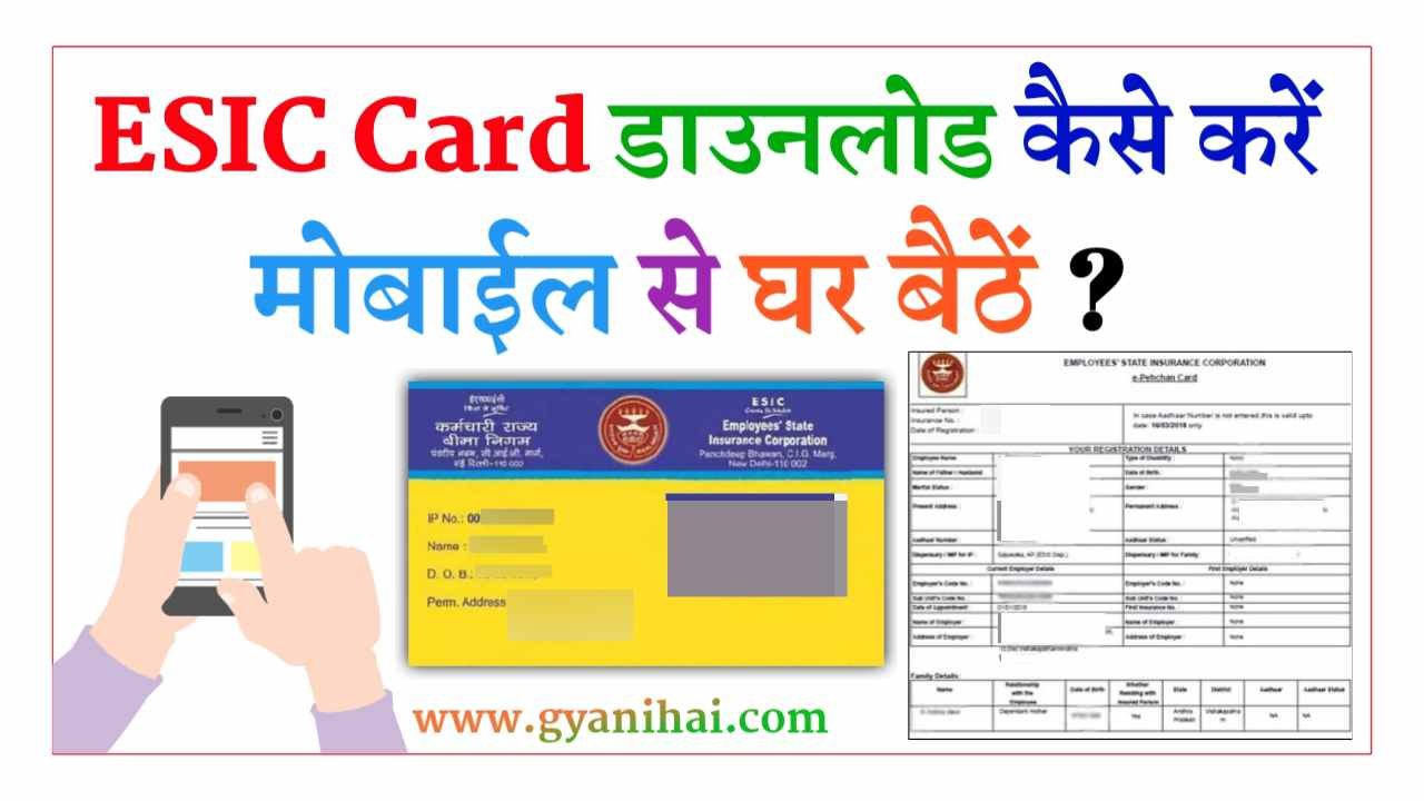 How to Download ESIC Card Online