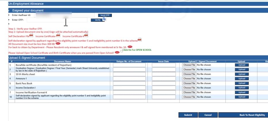 Rajasthan Berojgari Bhatta Online Form 