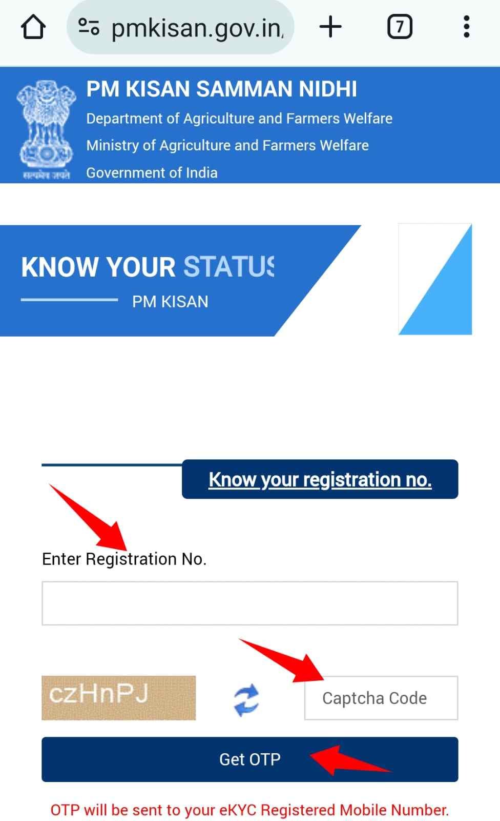 pm status check online